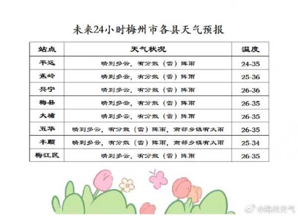 壶镇天气每时每报_实时气象更新指南