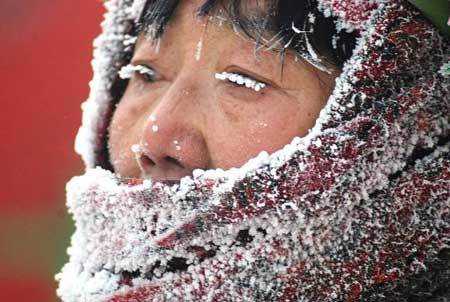 天气米雪本草纲目_如何应对寒冷天气带来的影响?