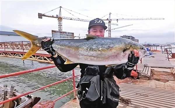 钓海鲈的天气_最佳钓鱼时机与技巧揭秘