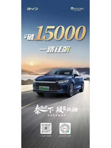 杭州比亚迪秦限号吗_了解限号政策与影响