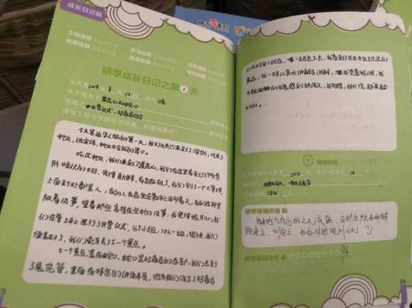 旅游实习日记, 我的收获与感悟是什么?