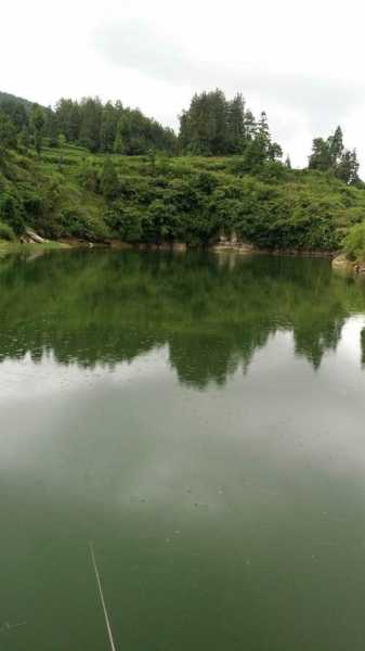 绥阳宽阔水天气_未来几天的天气预报是什么?