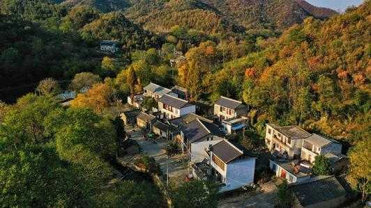 信阳郝堂村,信阳郝堂村凭什么脱颖而出