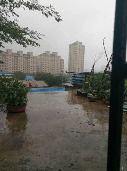 大连市瓦房店市天气, 要带雨伞吗