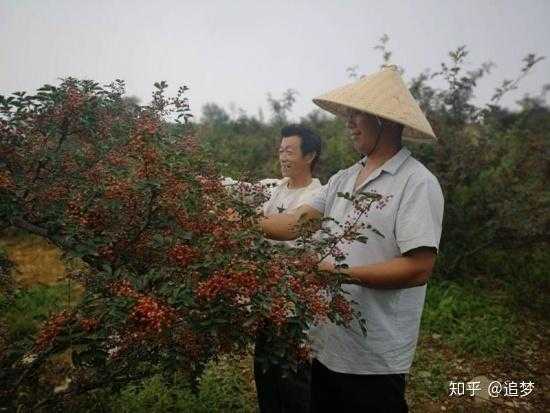 寄料镇, 它现在发展得怎么样