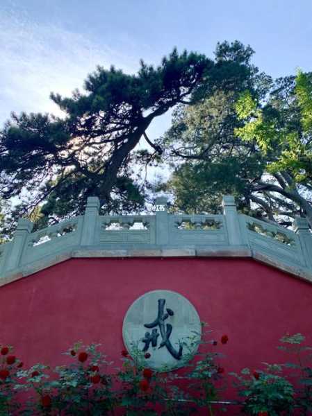 戒台寺简介,戒台寺值得一去吗