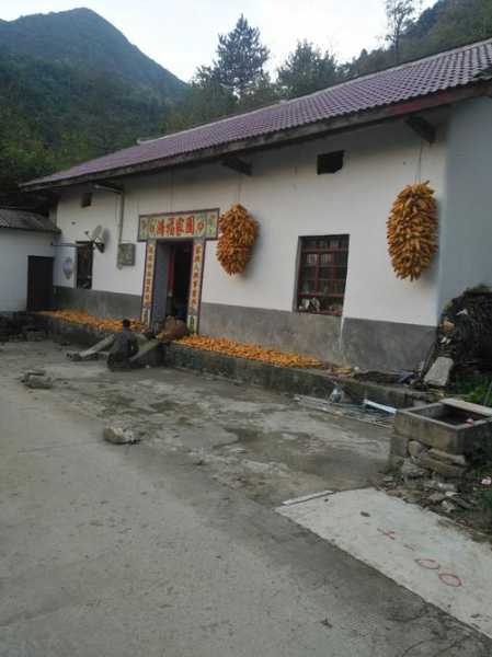 杨地镇,你是否有所耳闻