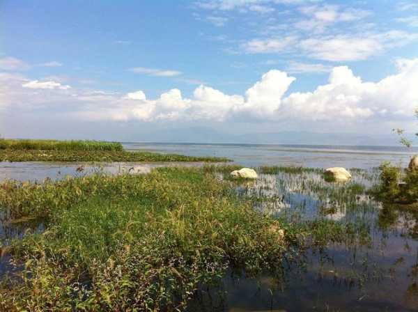 洱海月湿地公园,开车过去方便吗