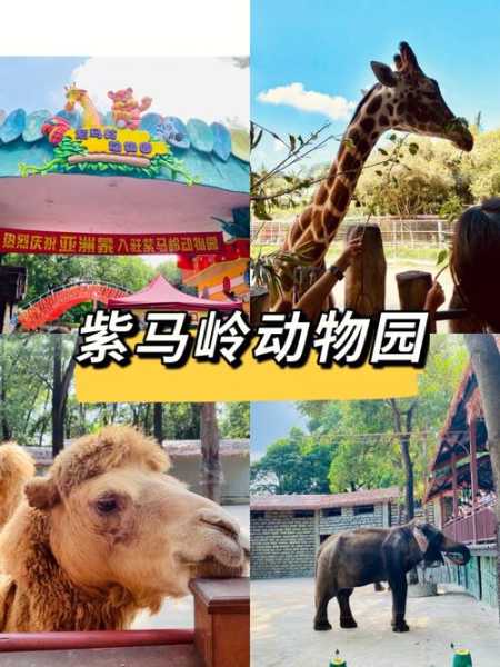 紫马岭动物园,值得再去一次吗