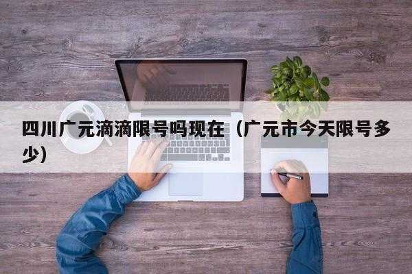 限号可以跑滴滴吗, 滴滴限号了乘客怎么办