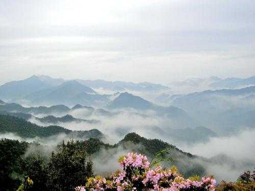 明天好天气桑田_出游还是宅在家?