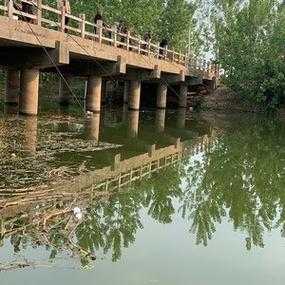 青龙渔业天气预报_如何影响渔获量？
