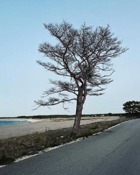 8月瑞典天气_适合旅游的最佳时机吗?