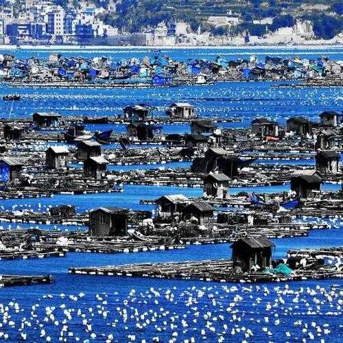 中国渔村在哪里_探索隐藏的海边桃源