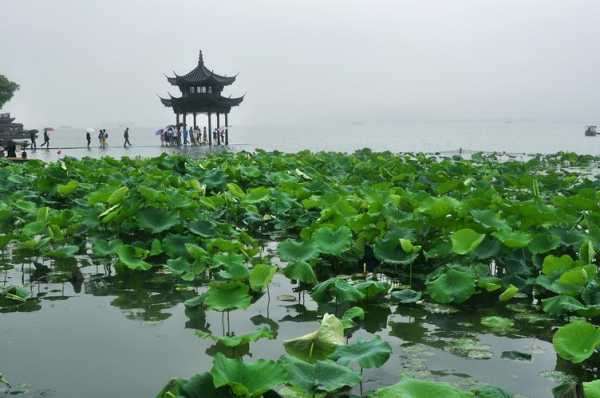 印象西湖雨_如何感受这场梦幻雨景?