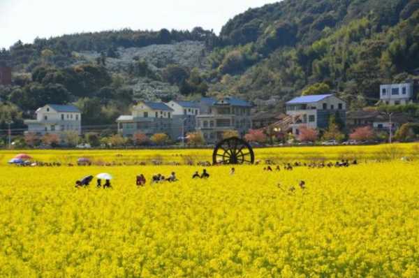 坪盘村_探秘这片美丽乡村的魅力