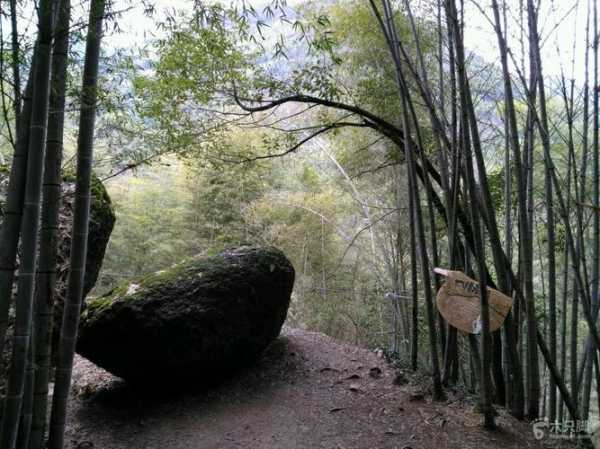 指动石_如何鉴别与选购技巧