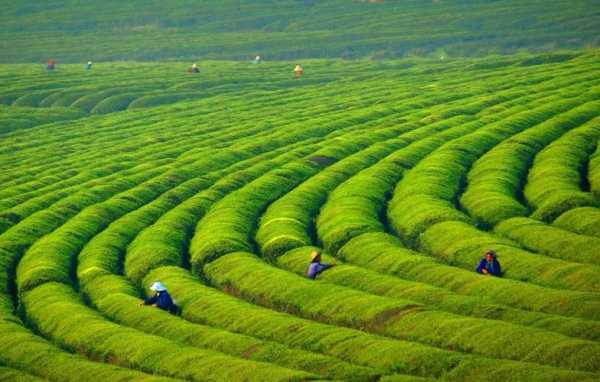 梁家渡_探索这片独特的风景之地