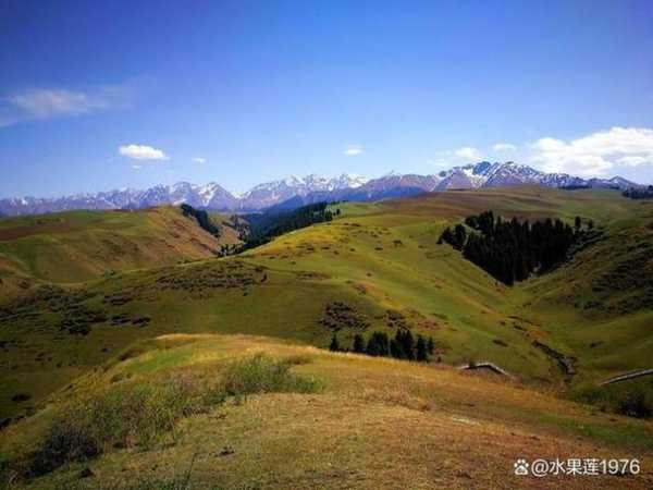江布拉克旅游攻略_小众旅游胜地全攻略