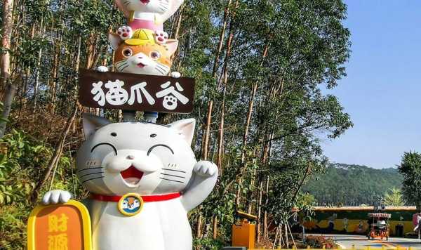猫爪谷_探秘猫咪的快乐世界
