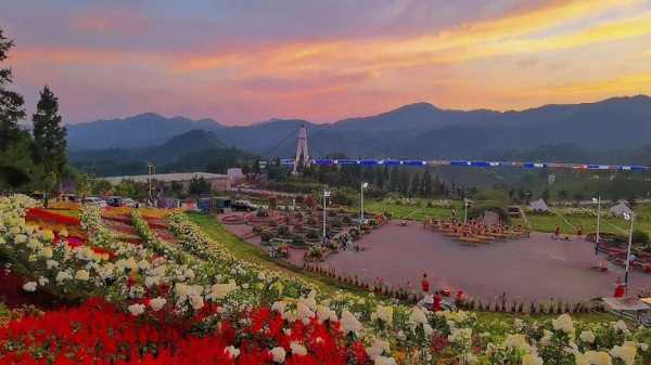 石柱云中花都_探索神秘的山间花卉之旅