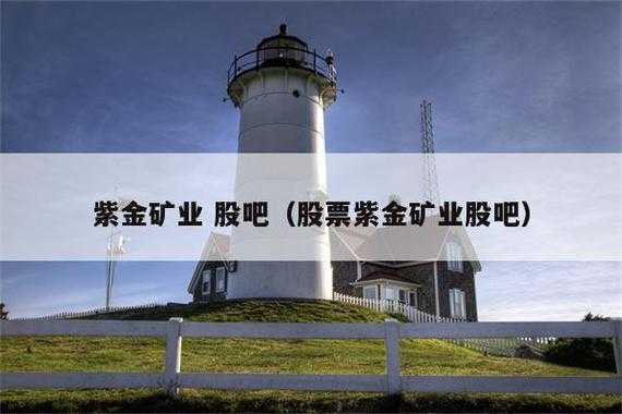 紫金矿业公司简介_了解其发展历程与成就