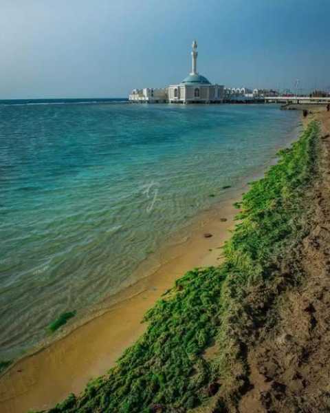 lattakia_这座城市的魅力与历史揭秘