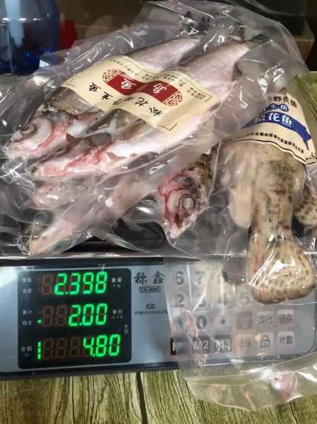 三花鱼_如何挑选与烹饪技巧