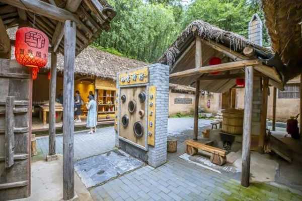 乐居村_魅力所在与生活体验探秘