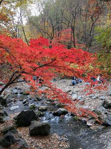 关门山大峡谷_探秘自然奇观之旅