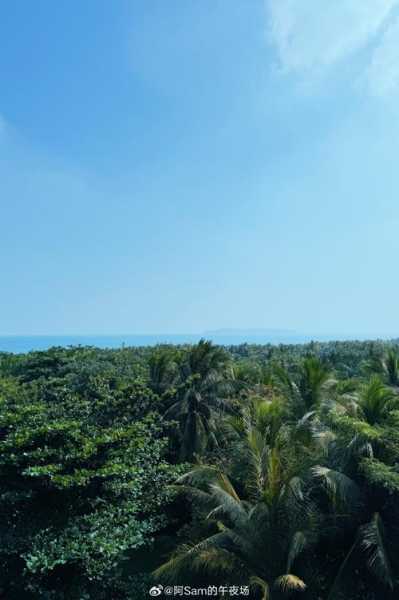 南海中旅_畅游热带海岛的最佳选择