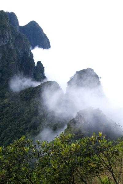 大瑶山在哪里_探寻这个迷人的自然宝藏