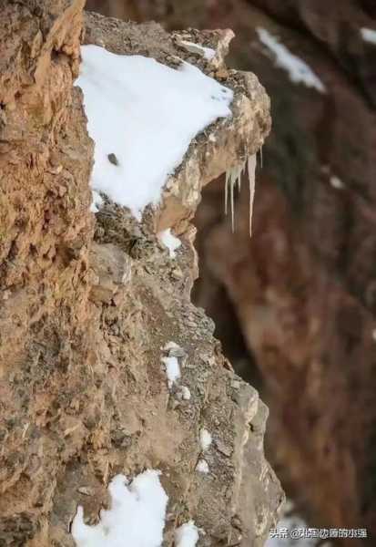 大鱼山_探索隐藏的自然奇迹