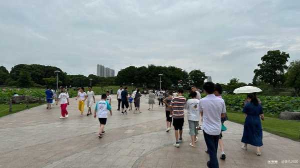 常州市化龙巷论坛_最新动态与参与指南