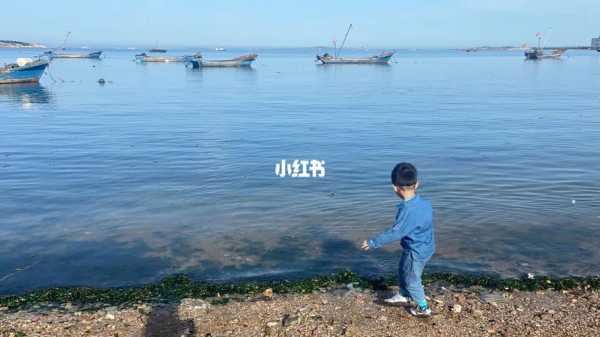广鹿岛在哪_探访这一隐藏的海岛宝藏