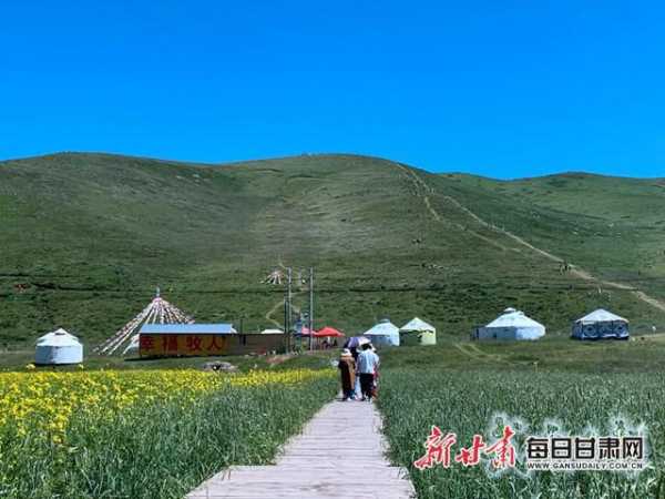 抓喜秀龙草原_探秘这片人间仙境