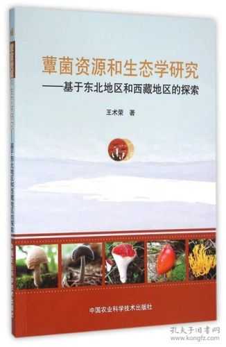 文海地_探索其独特生态与文化魅力