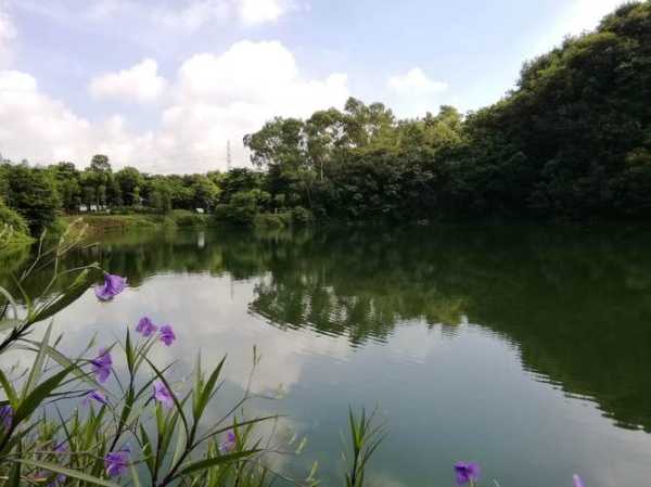 王借岗森林公园_探秘自然之美与休闲乐趣