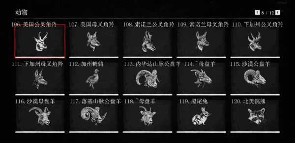 瓜马_是什么?有什么特别之处?