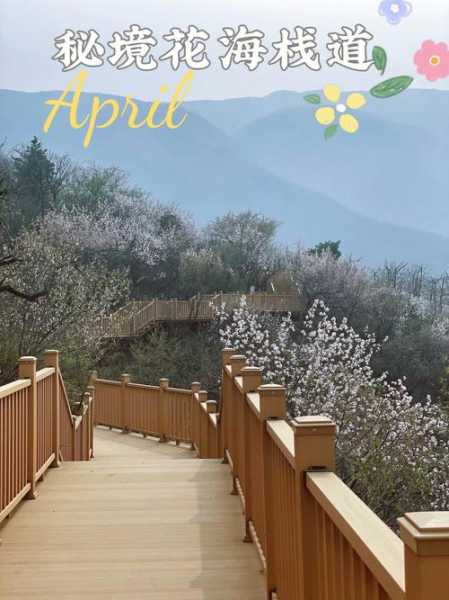 田水湾_发现你的秘境旅行地