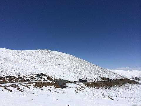 米拉山口简介_探索神秘的高原风光
