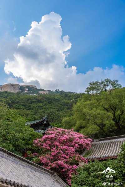 紫山风景区_最佳游玩攻略与景点推荐