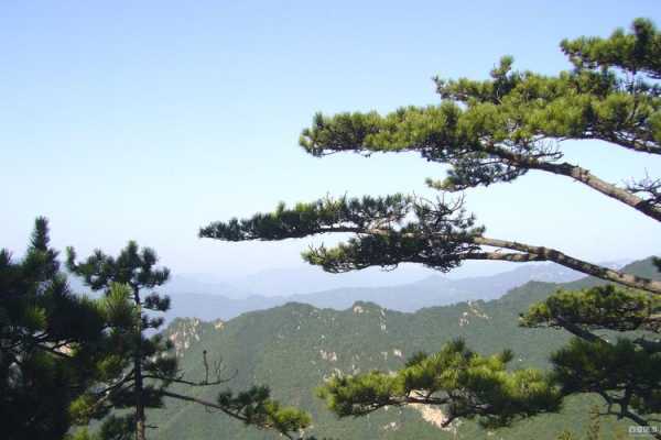 老界岭在哪里_探秘这座美丽的自然宝地