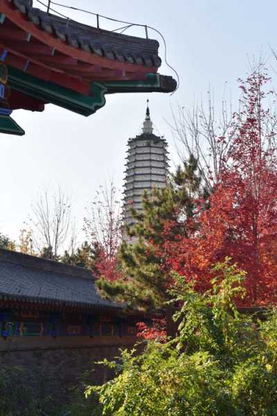 舍利塔滩地公园_探索自然与历史的完美结合