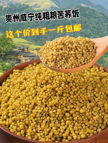 苦荞饭_健康饮食的秘密武器是什么?