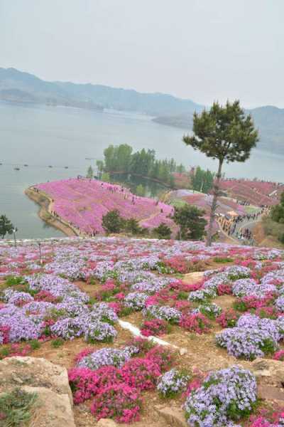 迁西雨花谷_探索这片绝美秘境的魅力