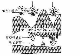 钟山石_揭秘其独特的形成过程