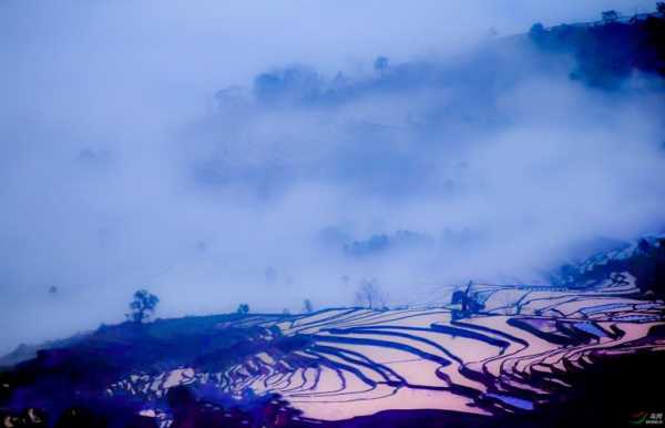 雾云山梯田_探索绝美风景与文化魅力