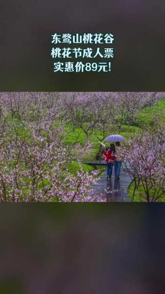 东鹜山要门票吗_了解西安近郊旅游攻略