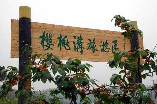 崇州樱桃沟门票_如何购买及景点介绍